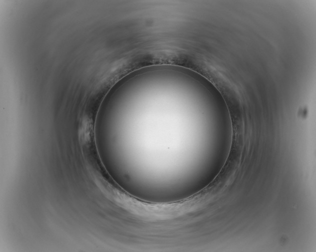 X0000091940038200709051531