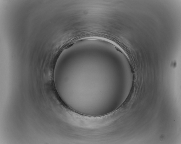 X0000091940039200709051531