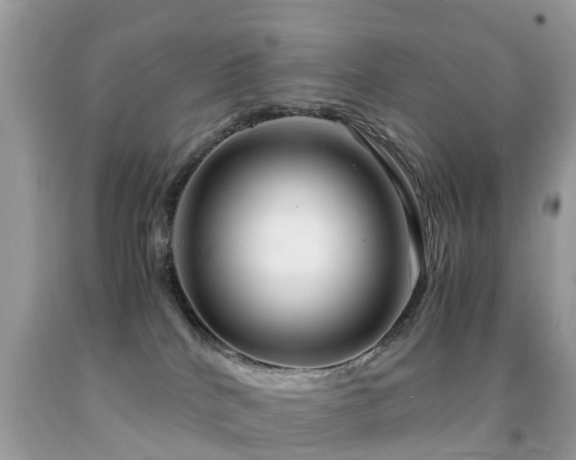 X0000091940040200709051531