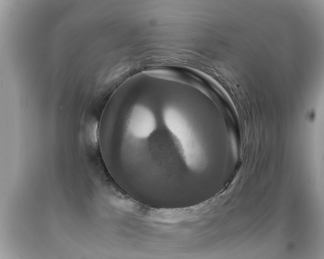 X0000091940041200709051531