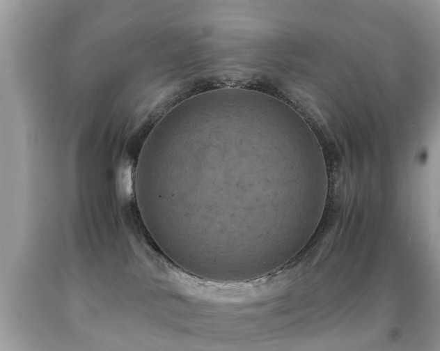 X0000091940042200709051531