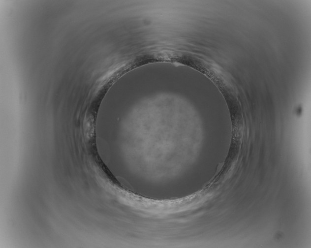 X0000091940043200709051531