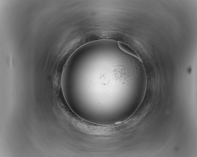 X0000091940044200709051531