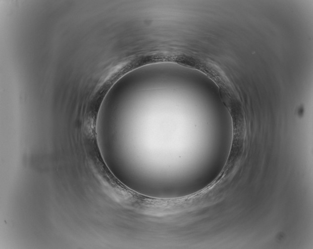 X0000091940045200709051531