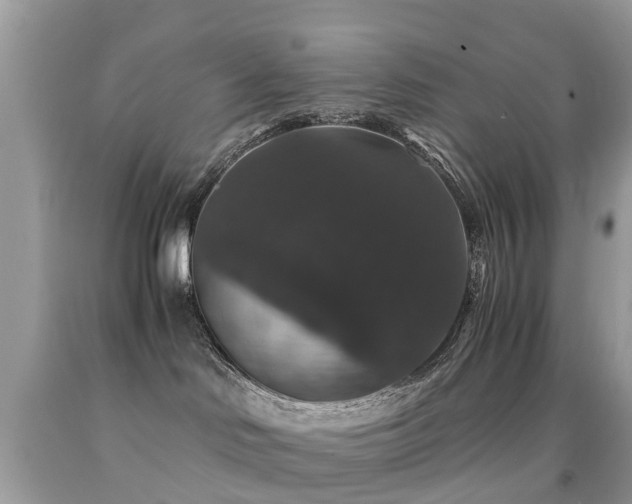 X0000091940046200709051531