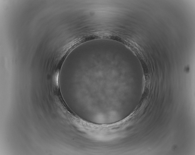 X0000091940047200709051531