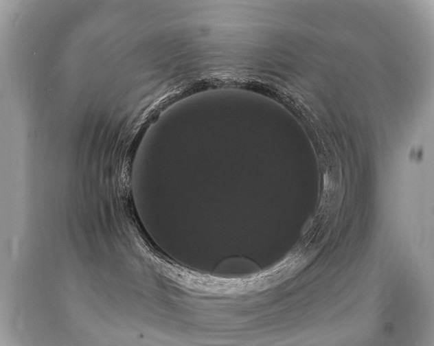 X0000091940048200709051531