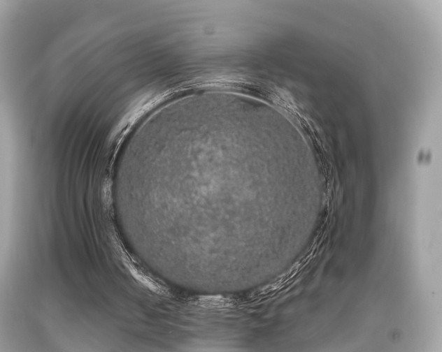 X0000091940050200709051530