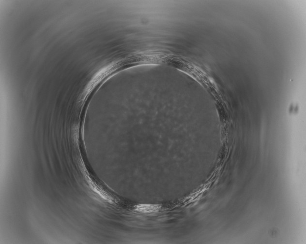 X0000091940051200709051531