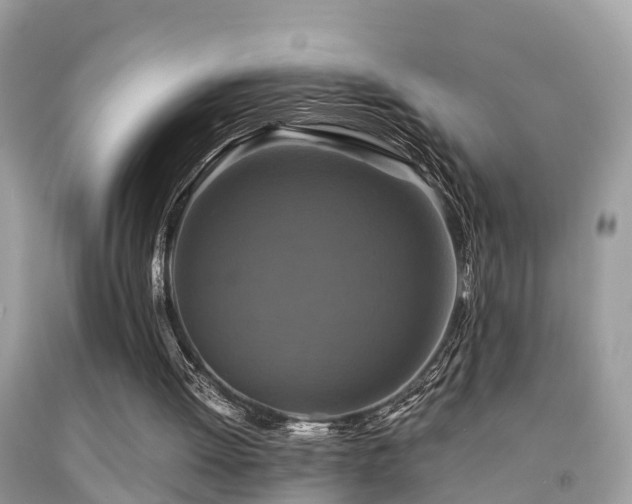 X0000091940052200709051531