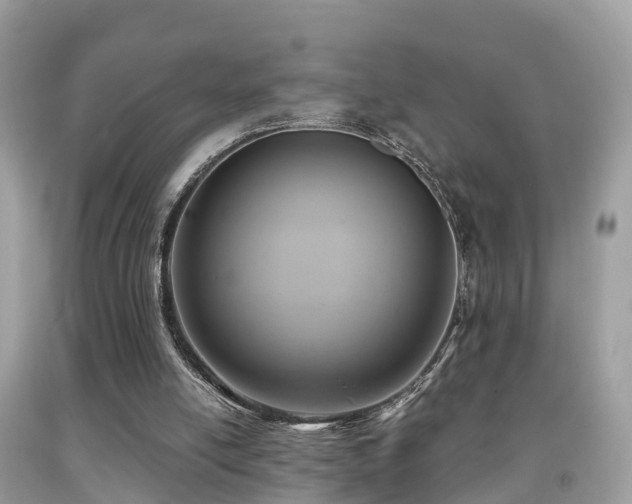 X0000091940054200709051531