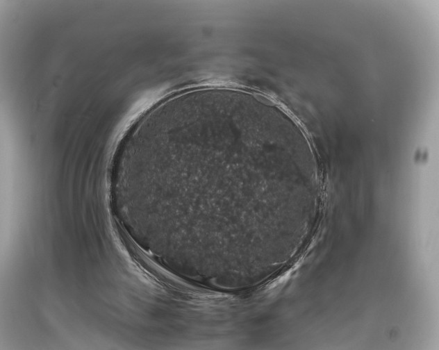 X0000091940055200709051531