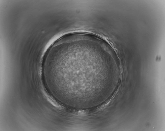 X0000091940056200709051531