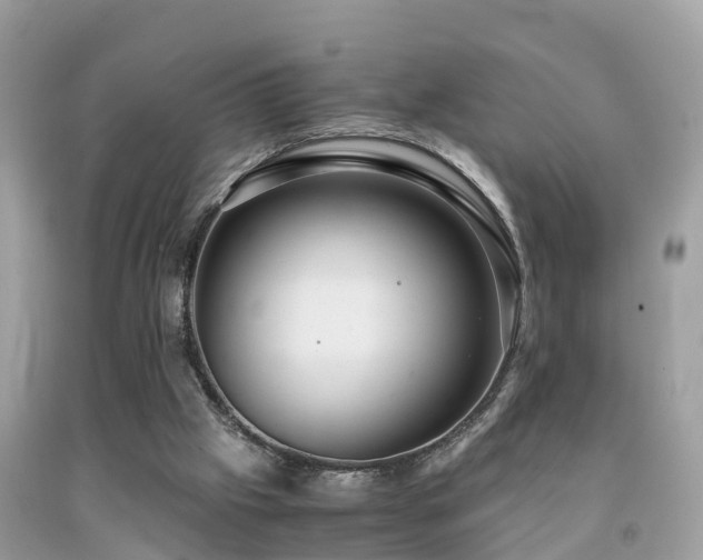 X0000091940057200709051531