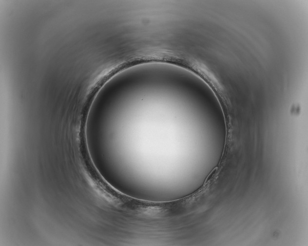 X0000091940058200709051531