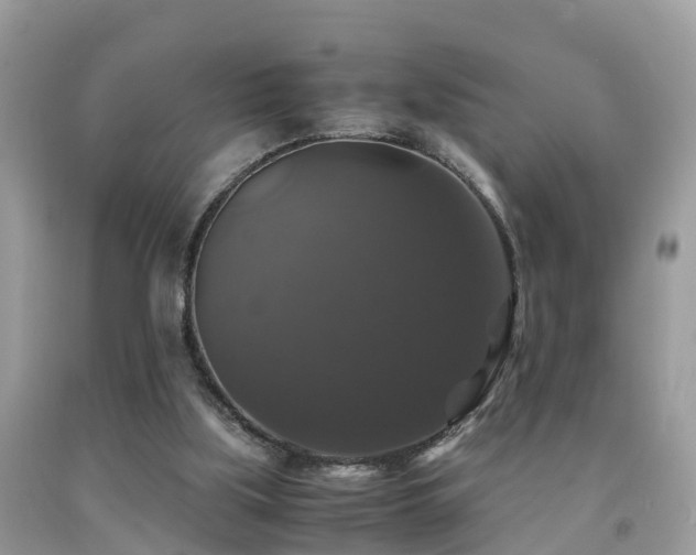 X0000091940059200709051531