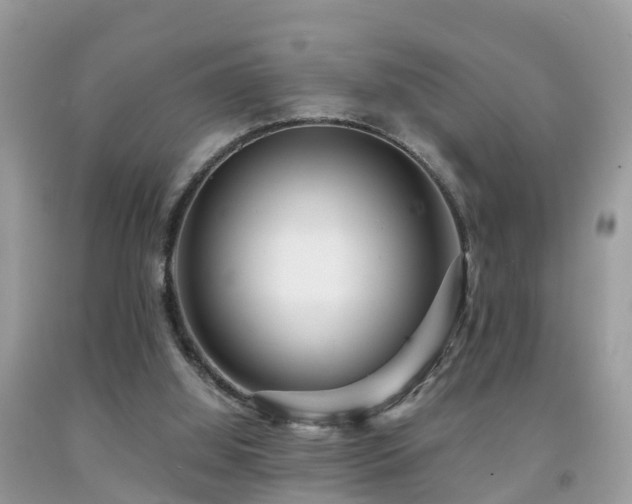 X0000091940060200709051531