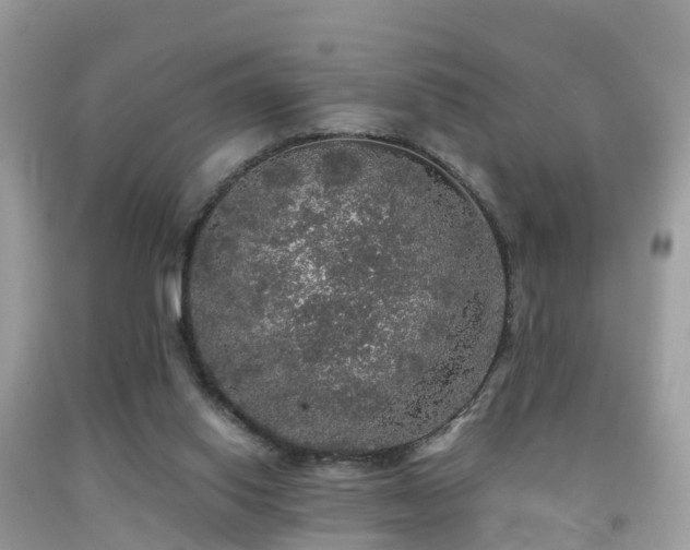 X0000091940062200709051531