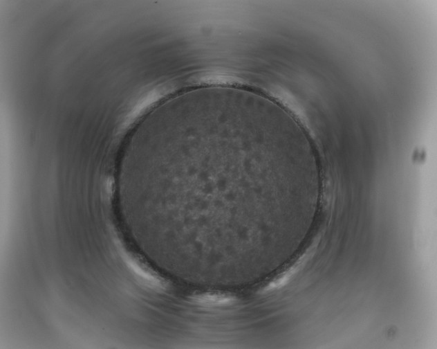 X0000091940063200709051531