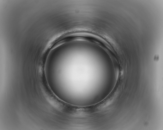 X0000091940064200709051531