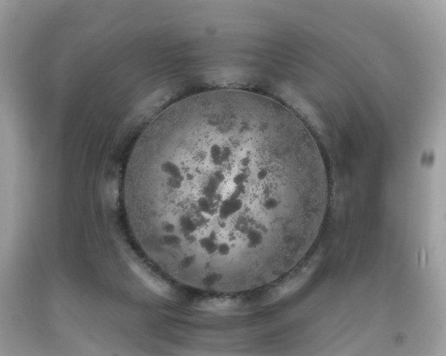 X0000091940065200709051531