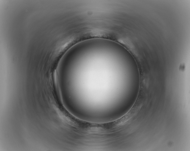 X0000091940066200709051531