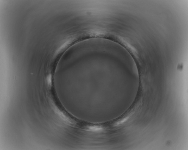 X0000091940067200709051531