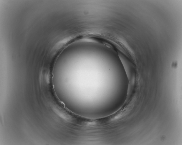 X0000091940068200709051531