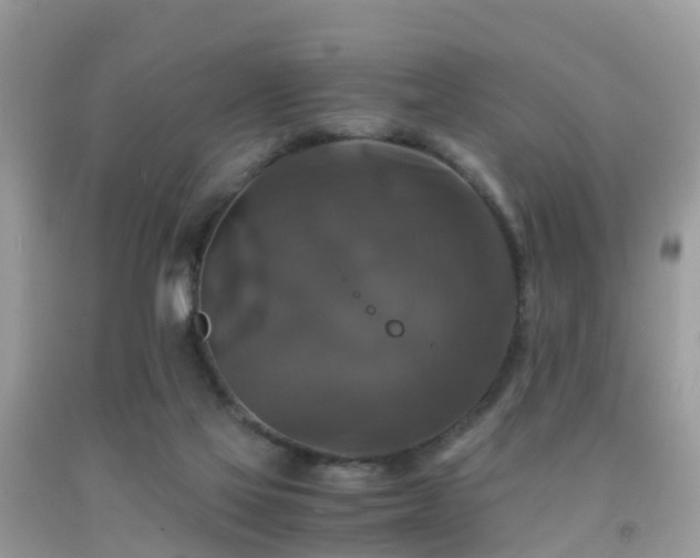 X0000091940069200709051531