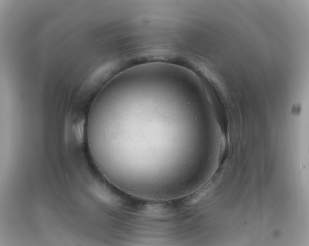 X0000091940070200709051531