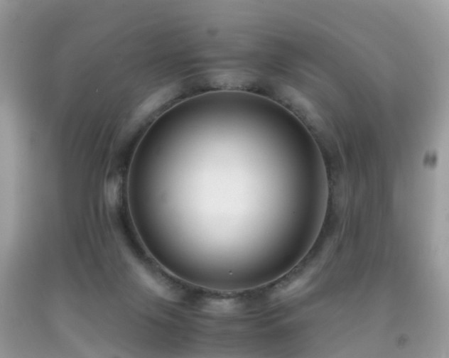 X0000091940071200709051531