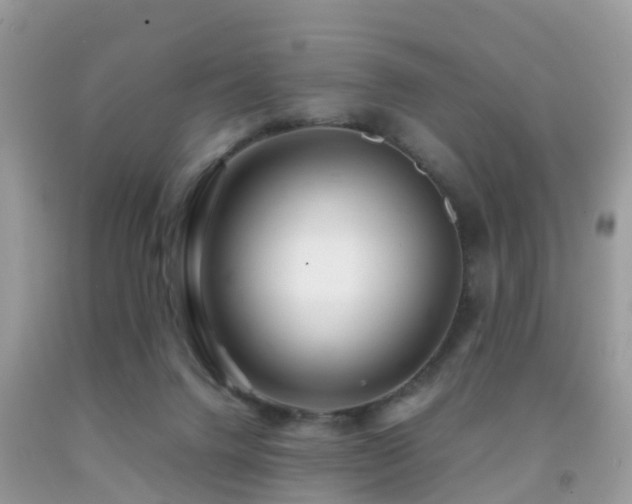 X0000091940072200709051531