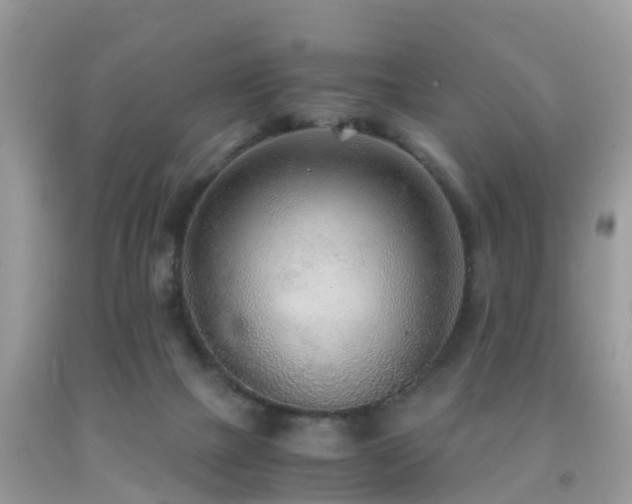 X0000091940073200709051531