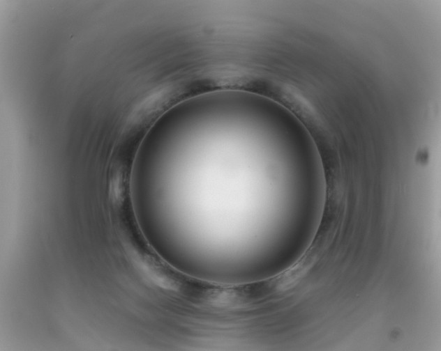 X0000091940074200709051531