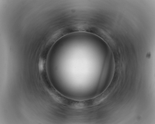 X0000091940075200709051531