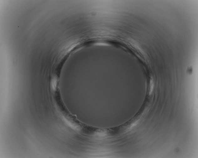 X0000091940076200709051531