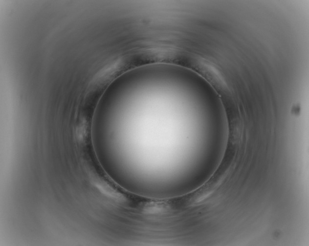 X0000091940077200709051531