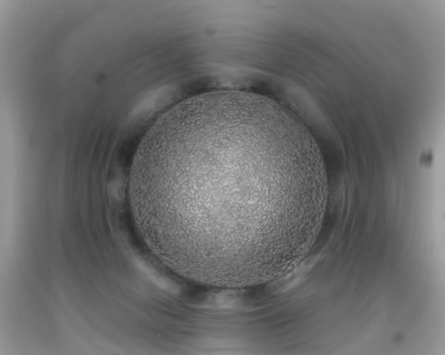 X0000091940078200709051531