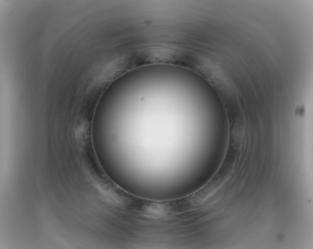 X0000091940079200709051531