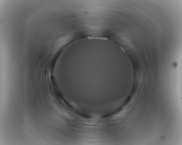 X0000091940080200709051531