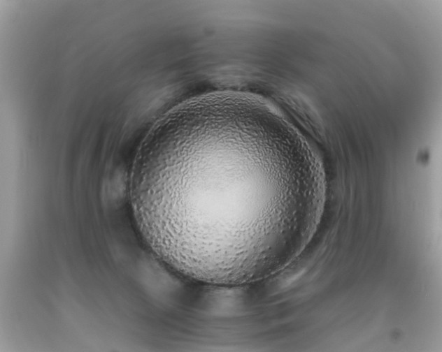 X0000091940081200709051531