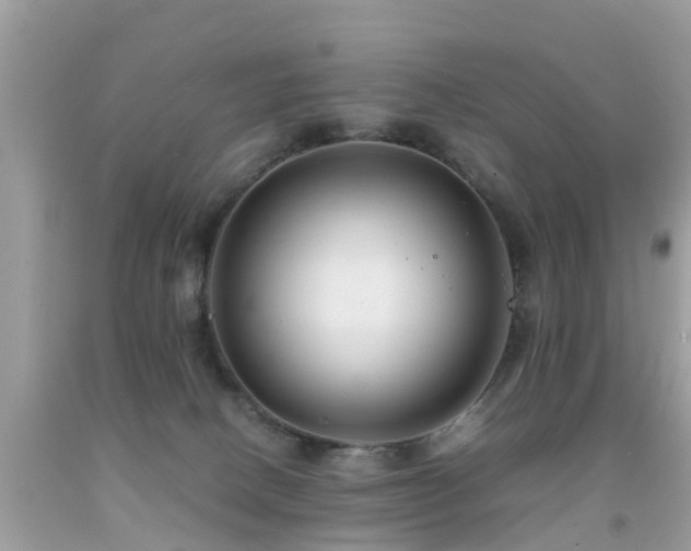 X0000091940082200709051531