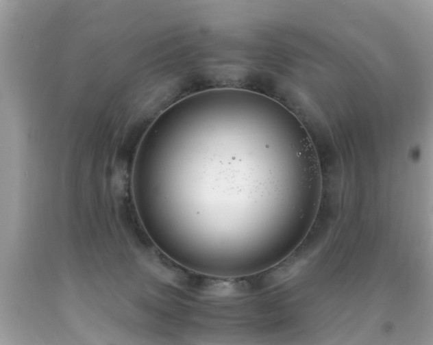 X0000091940083200709051531