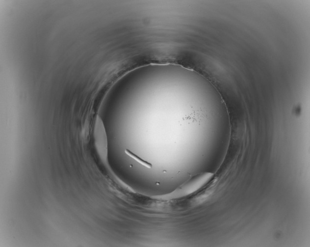 X0000091940084200709051531