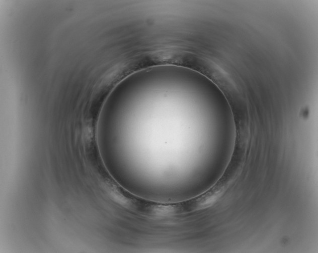 X0000091940085200709051531