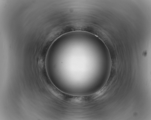 X0000091940086200709051531