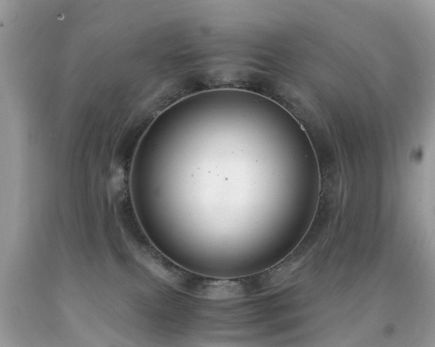 X0000091940087200709051531