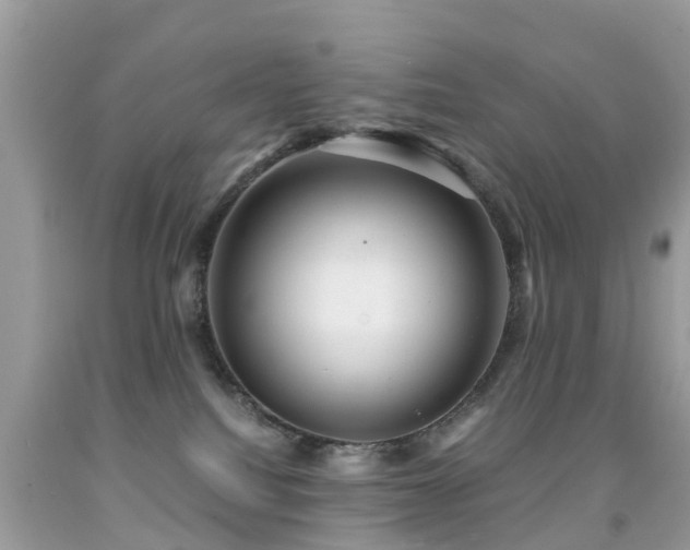 X0000091940088200709051531