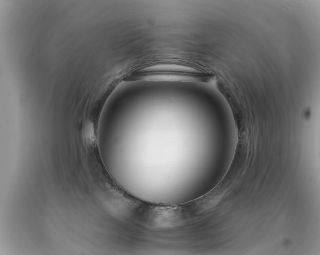 X0000091940089200709051531