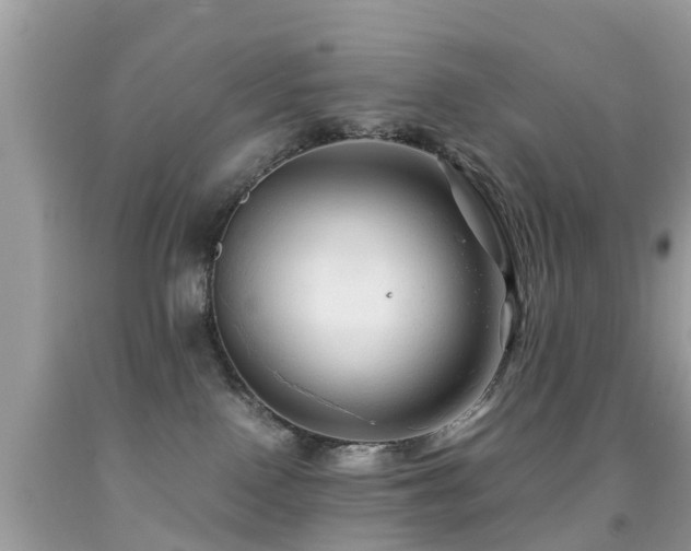 X0000091940090200709051531